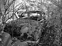 Autofriedhof - 172